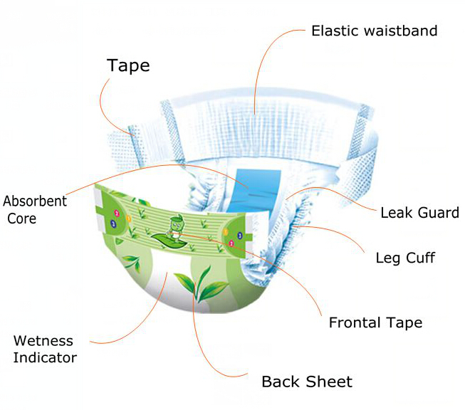 Diaper Disposable Structure At Steve Mercado Blog Diaper Disposable Structure At Steve Mercado Blog
