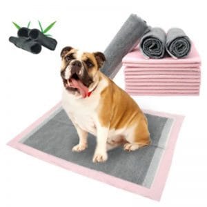 disposable pads for dogs