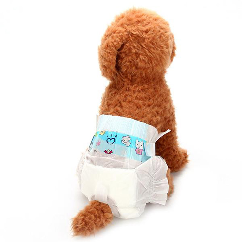 dog incontinence diapers